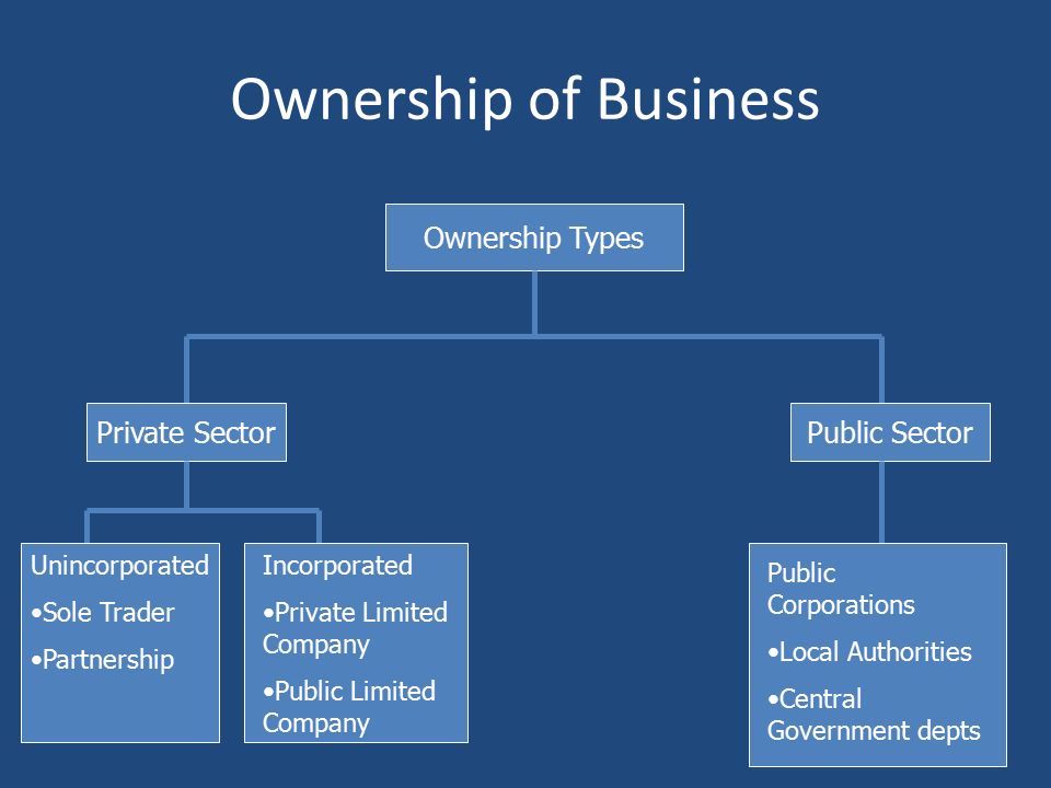 types of business ownerships