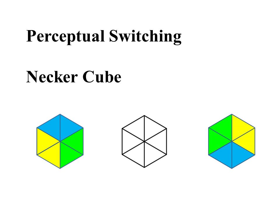 Perceptual Switching Necker Cube