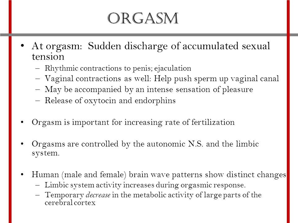 Asian fags fucking Brain wave during orgasm