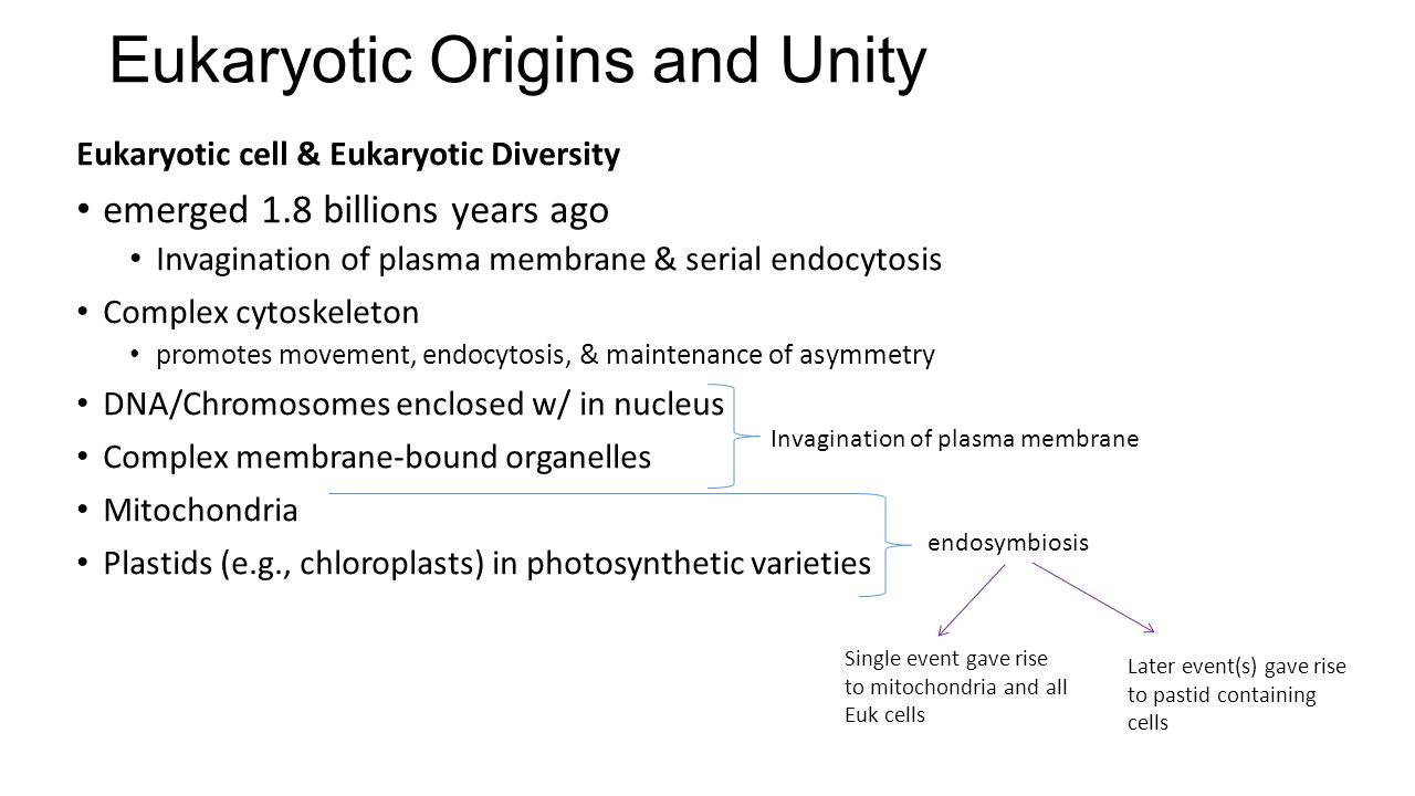 cells diveristy and uniformity cells diveristy and uniformity