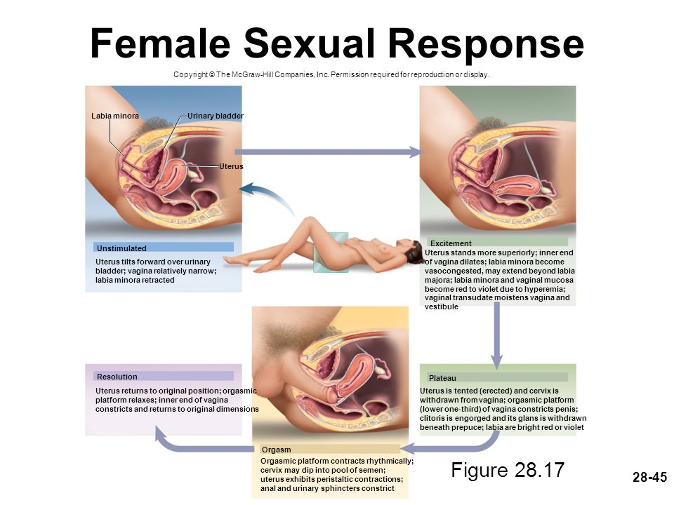 Позы В Сексе Для Оргазма Женщины