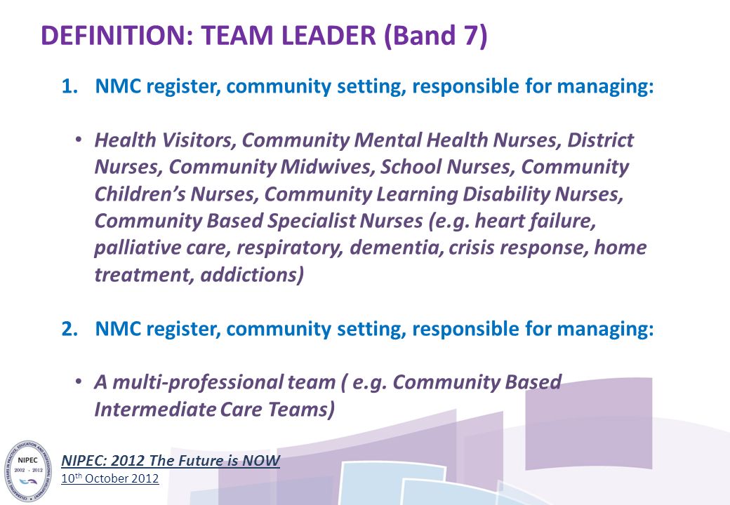 team leader definition