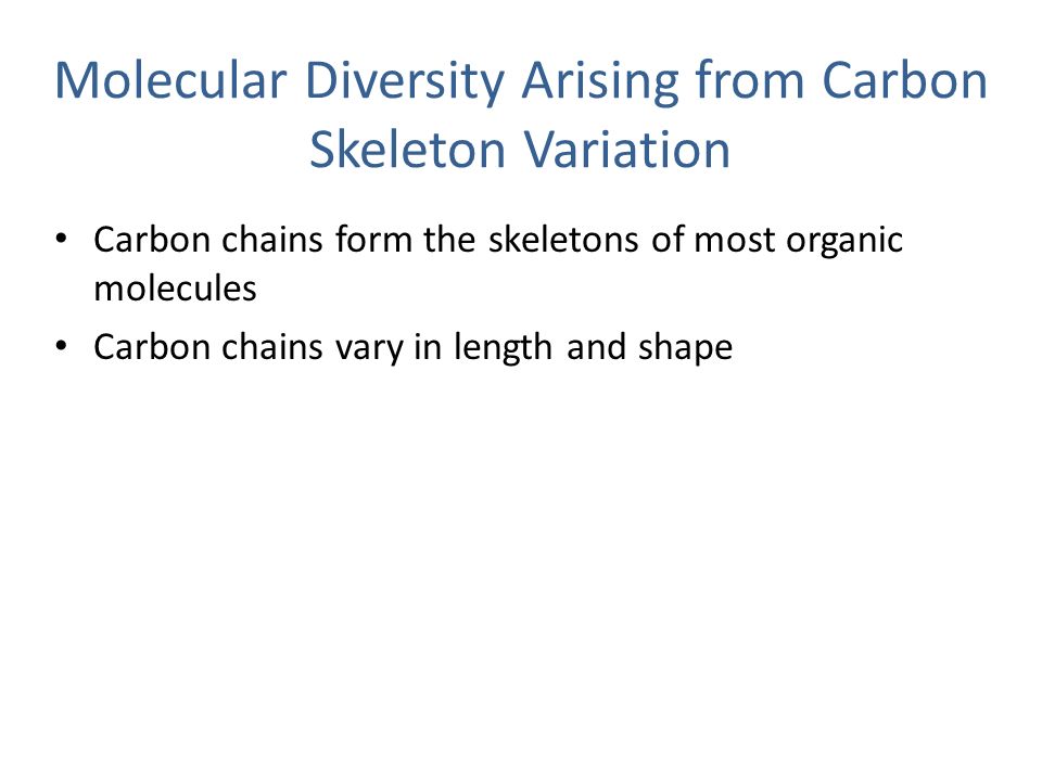 chapter 4 carbon and the molecular diversity of life ppt download carbon chains form skeletons