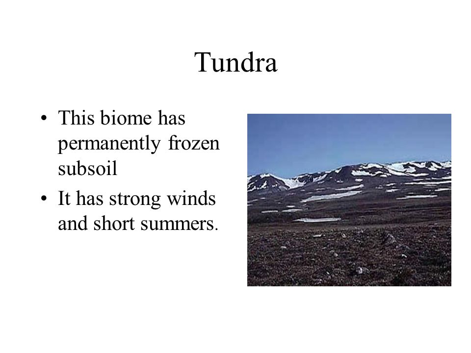 Tundra This biome has permanently frozen subsoil It has strong winds and short summers.