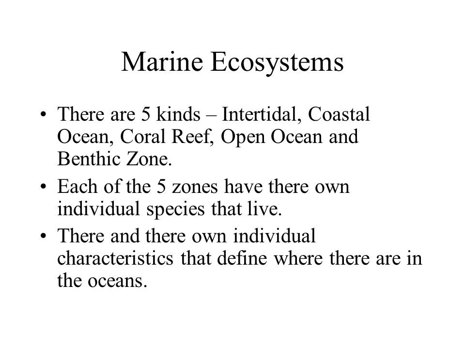 Marine Ecosystems There are 5 kinds – Intertidal, Coastal Ocean, Coral Reef, Open Ocean and Benthic Zone.