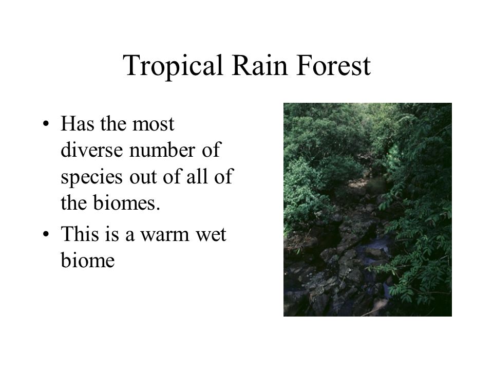 Tropical Rain Forest Has the most diverse number of species out of all of the biomes.