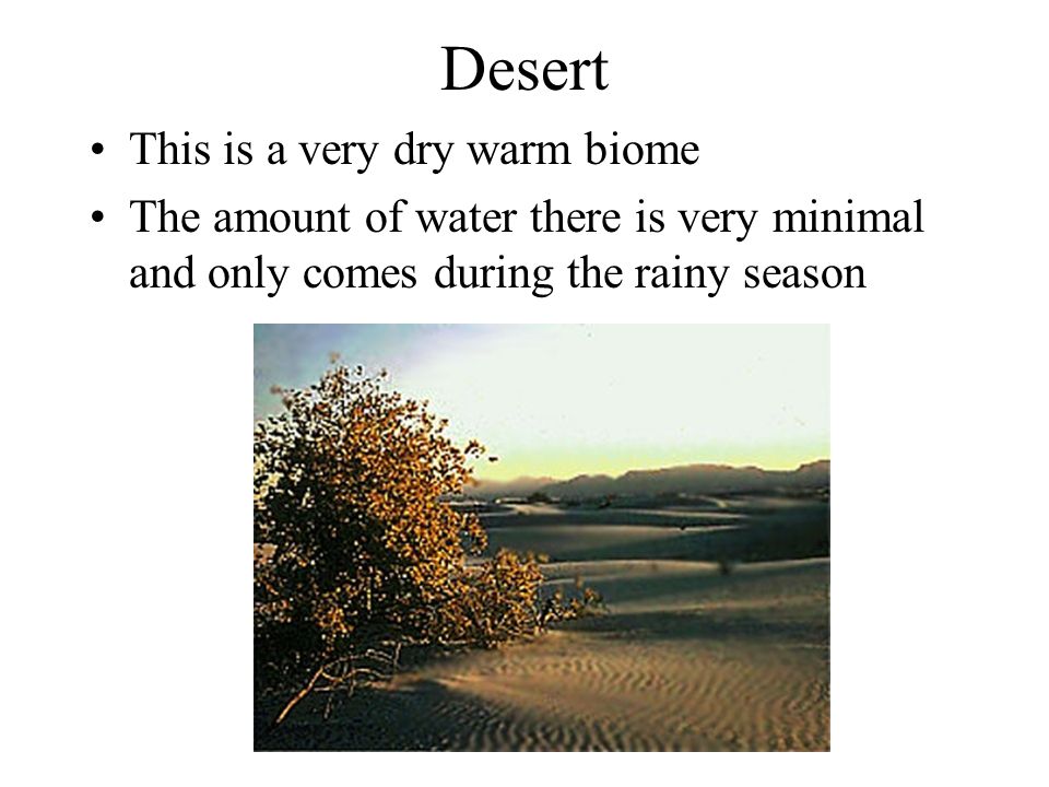 Desert This is a very dry warm biome The amount of water there is very minimal and only comes during the rainy season