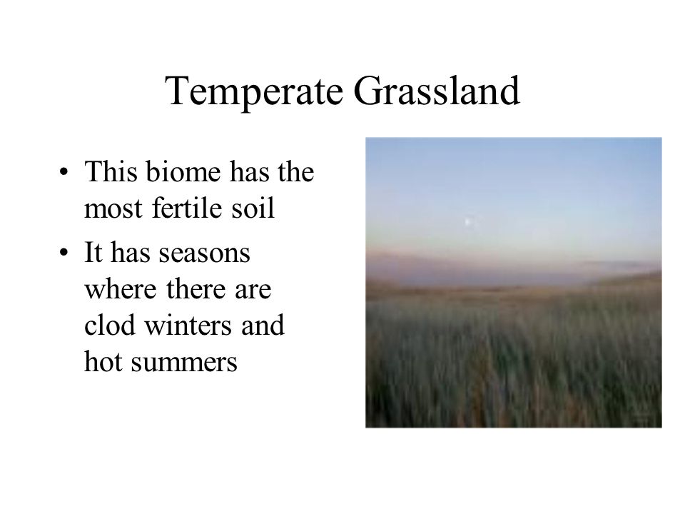 Temperate Grassland This biome has the most fertile soil It has seasons where there are clod winters and hot summers