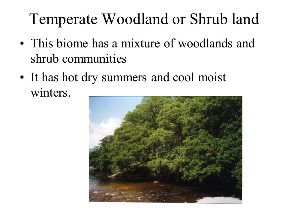 Temperate Woodland or Shrub land This biome has a mixture of woodlands and shrub communities It has hot dry summers and cool moist winters.
