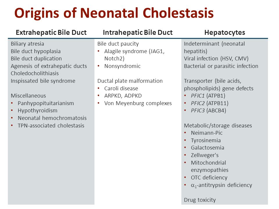 Origins of Neonatal Cholestasis Extrahepatic Bile DuctIntrahepatic Bile DuctHepatocytes Biliary atresia Bile duct hypoplasia Bile duct duplication Agenesis of extrahepatic ducts Choledocholithiasis Inspissated bile syndrome Miscellaneous Panhypopituitarianism Hypothyroidism Neonatal hemochromatosis TPN-associated cholestasis Bile duct paucity Alagile syndrome (JAG1, Notch2) Nonsyndromic Ductal plate malformation Caroli disease ARPKD, ADPKD Von Meyenburg complexes Indeterminant (neonatal hepatitis) Viral infection (HSV, CMV) Bacterial or parasitic infection Transporter (bile acids, phospholipids) gene defects PFIC1 (ATPB1) PFIC2 (ATPB11) PFIC3 (ABCB4) Metabolic/storage diseases Neimann-Pic Tyrosinemia Galactosemia Zellweger s Mitochondrial enzymopathies OTC deficiency  1 -antitrypsin deficiency Drug toxicity