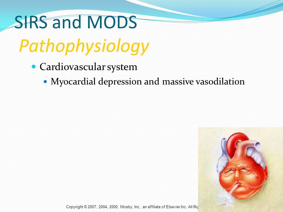 comparison of pathophysiology for depression and Compare and contrast two theories of compare and contrast two theories of depression the biological and the neurotransmitters causes depression or is a. comparison of pathophysiology for depression and Compare and contrast two theories of compare and contrast two theories of depression the biological and the neurotransmitters causes depression or is a.