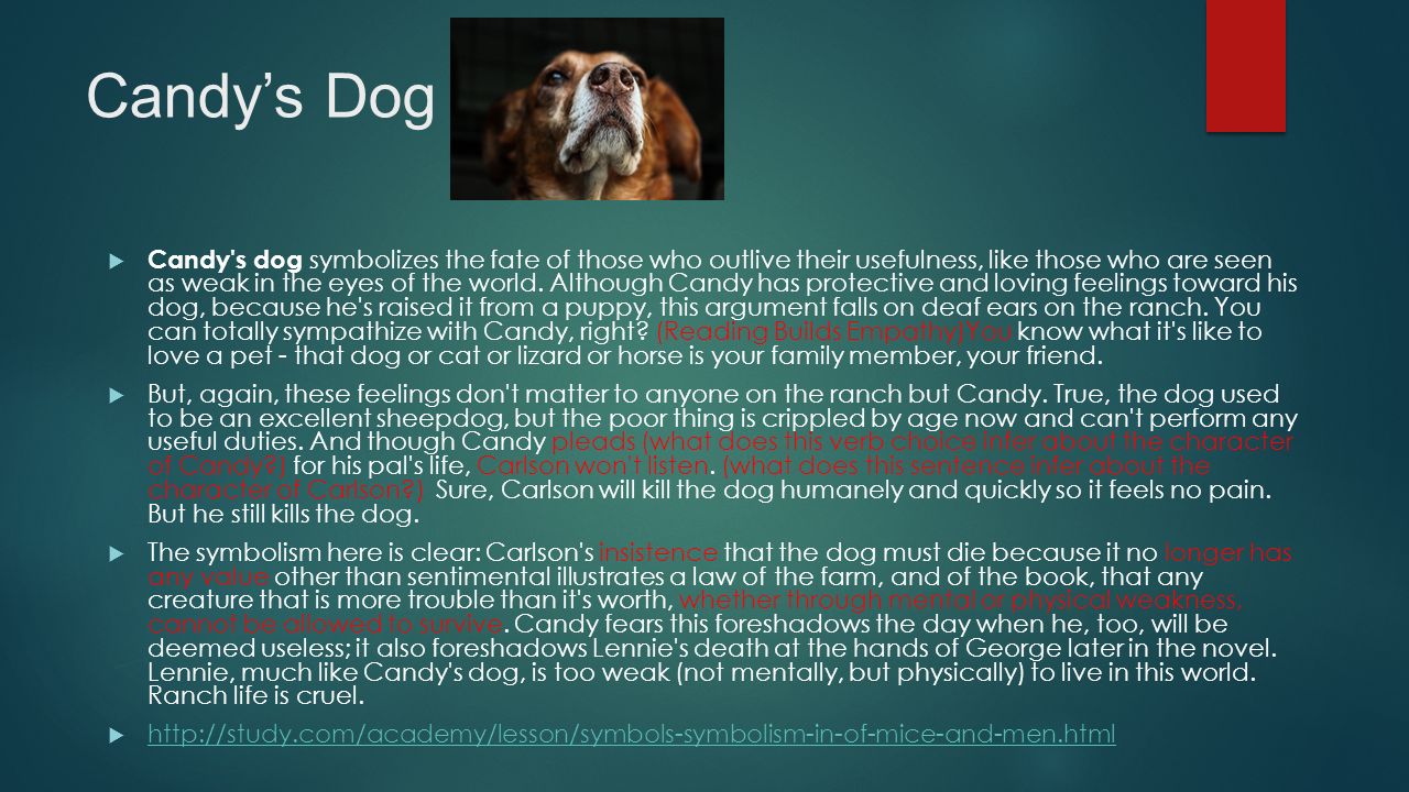 Worksheet Is A Dog A Person Place Or Thing symbolism occurs something concrete represents candys dog candy s symbolizes the fate of those who outlive their usefulness