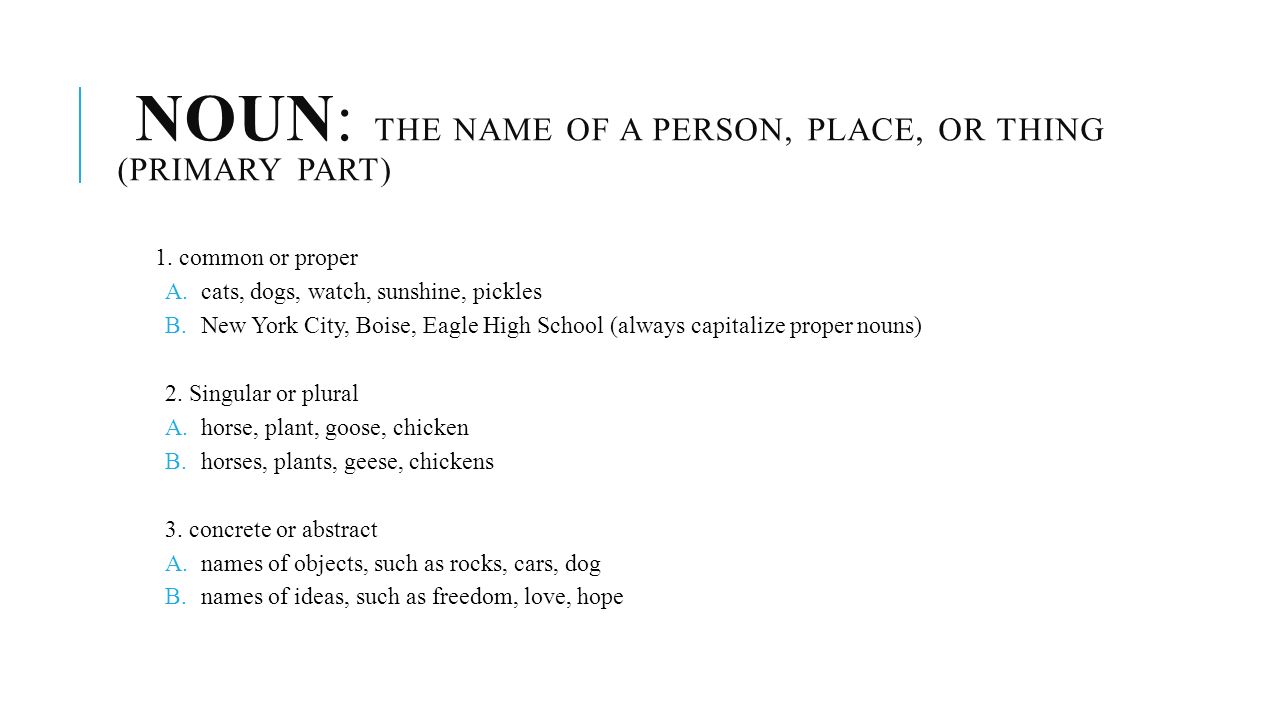 Worksheet Is A Dog A Person Place Or Thing grammar the magic lens notes based on michael clay thompsons noun name of a person place or thing primary part