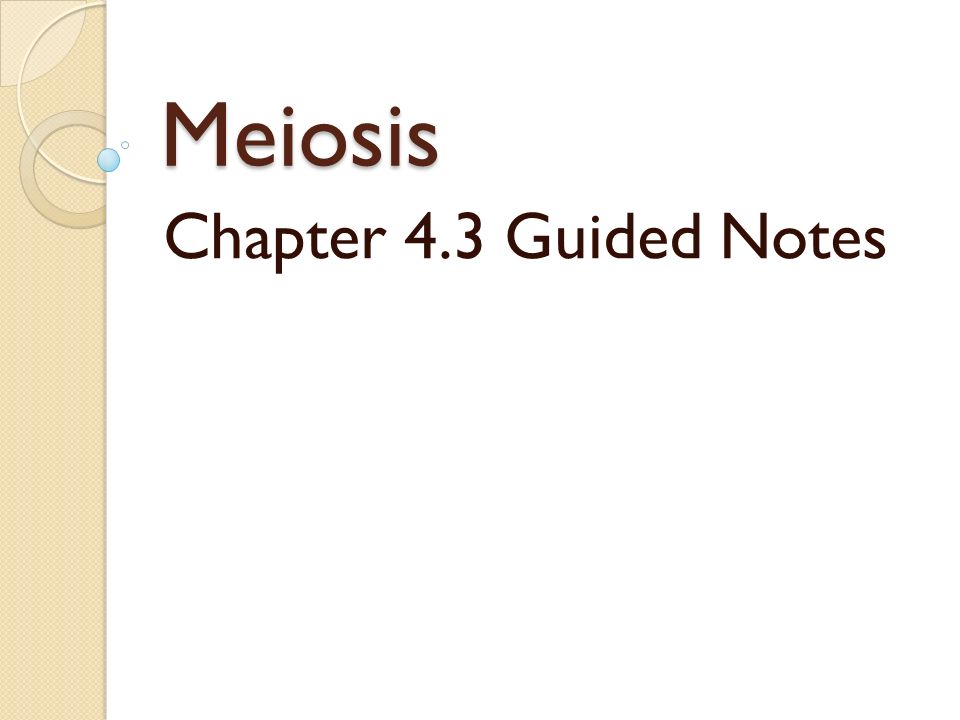 Meiosis Chapter 4.3 Guided Notes