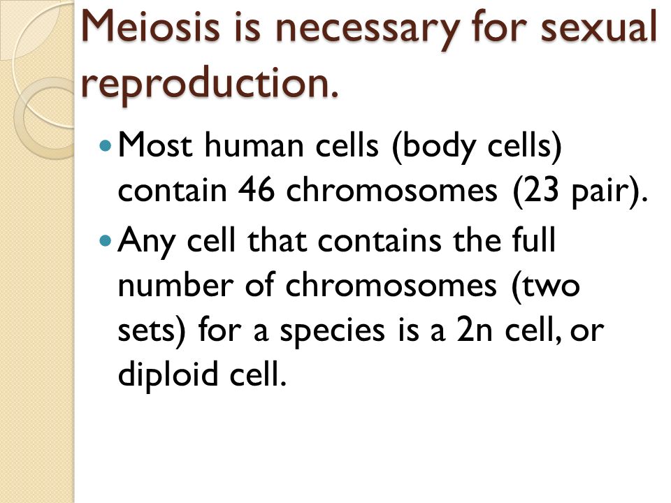Meiosis is necessary for sexual reproduction.