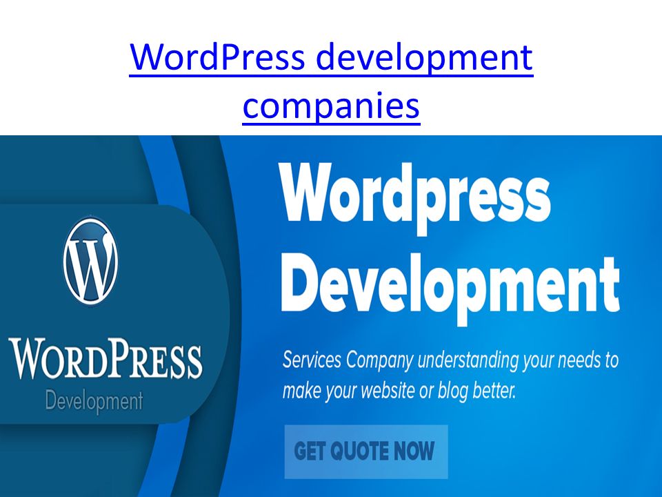 WordPress development companies