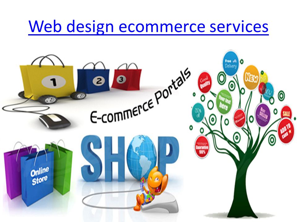 Web design ecommerce services