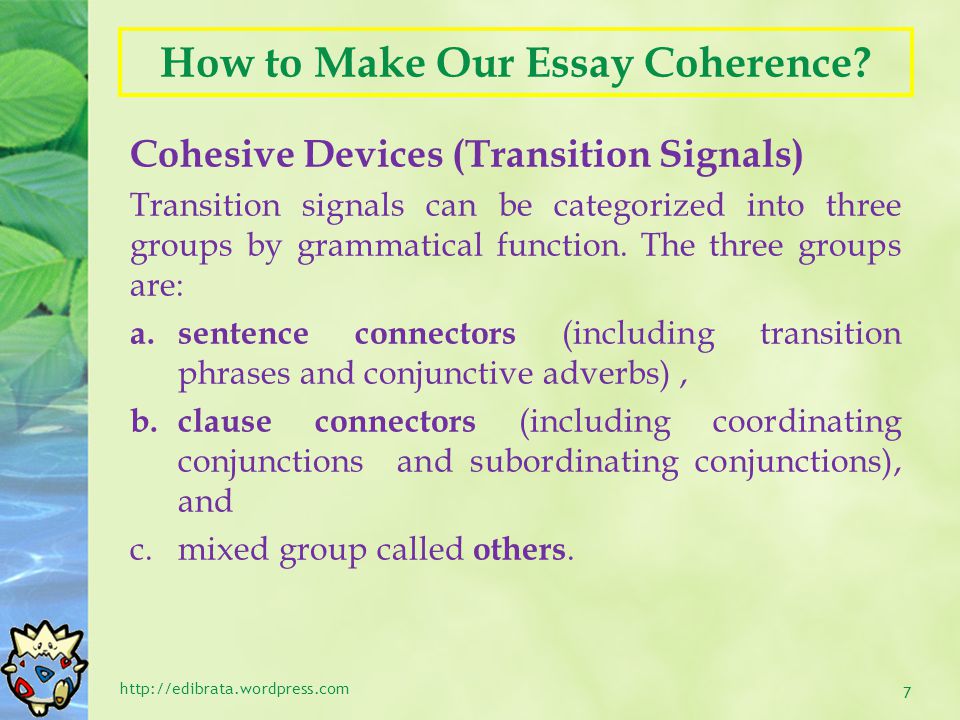 The Essay