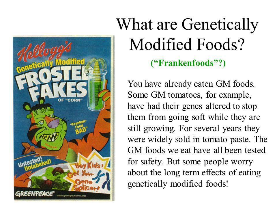 Gmo Food Essay