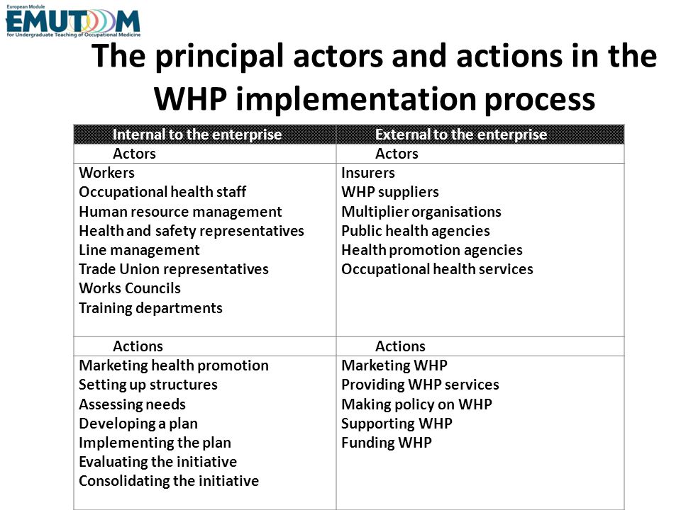 The principal actors and actions in the WHP implementation process Internal to the enterpriseExternal to the enterprise Actors Workers Occupational health staff Human resource management Health and safety representatives Line management Trade Union representatives Works Councils Training departments Insurers WHP suppliers Multiplier organisations Public health agencies Health promotion agencies Occupational health services Actions Marketing health promotion Setting up structures Assessing needs Developing a plan Implementing the plan Evaluating the initiative Consolidating the initiative Marketing WHP Providing WHP services Making policy on WHP Supporting WHP Funding WHP