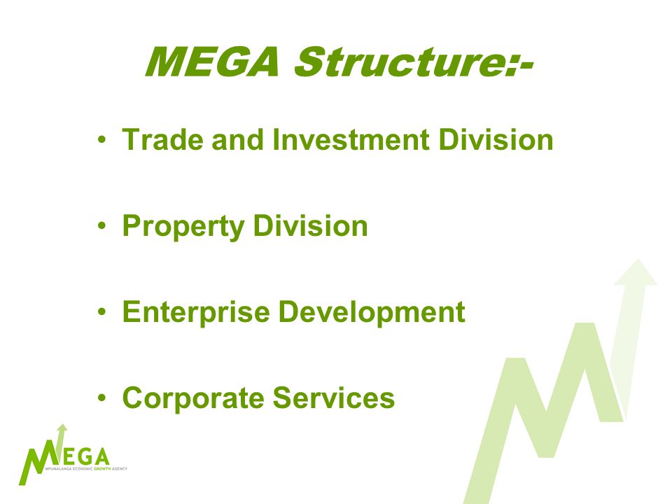 MEGA Structure:- Trade and Investment Division Property Division Enterprise Development Corporate Services