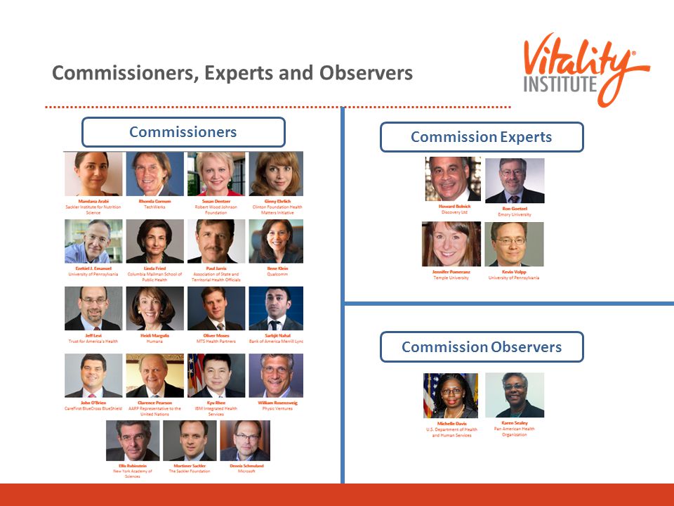 Commissioners, Experts and Observers Commissioners Commission Experts Commission Observers
