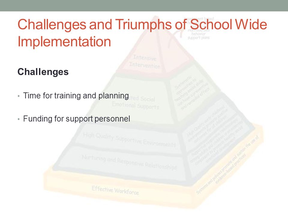 Challenges and Triumphs of School Wide Implementation Challenges Time for training and planning Funding for support personnel