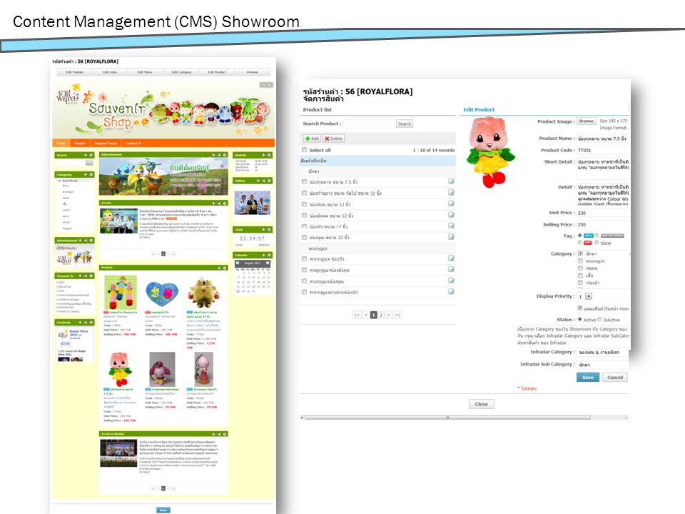 Content Management (CMS) Showroom
