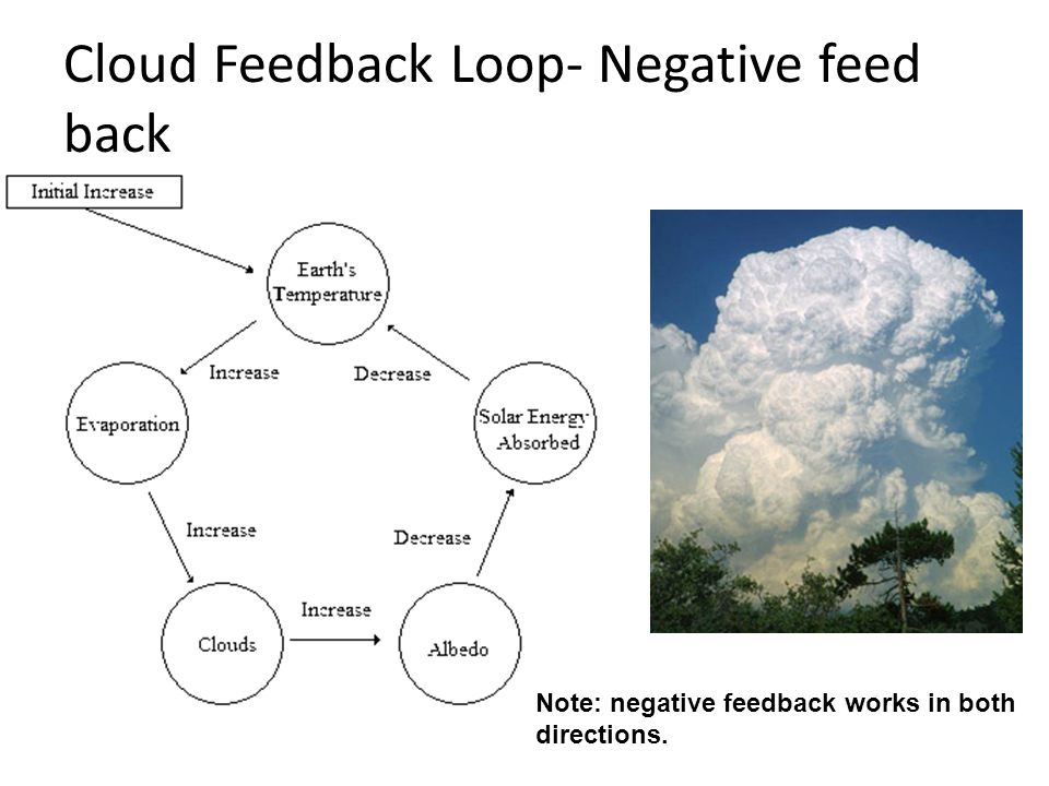 Cloud Feedback Loop- Negative feed back Note: negative feedback works in both directions.
