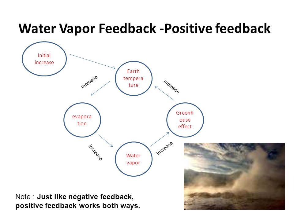 Water Vapor Feedback -Positive feedback Earth tempera ture Greenh ouse effect Water vapor evapora tion increase Initial increase Note : Just like negative feedback, positive feedback works both ways.