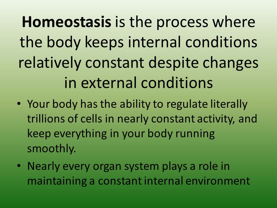 maintaining constant conditions in the body essay maintaining constant conditions in the body essay