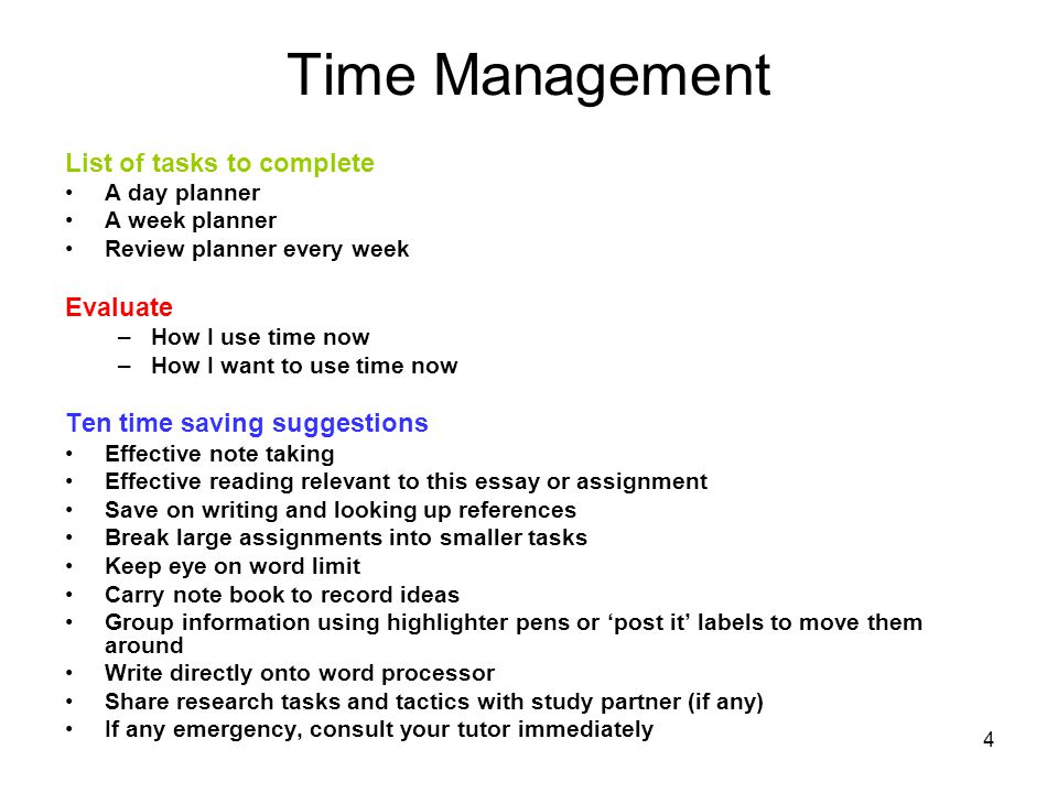 management essays