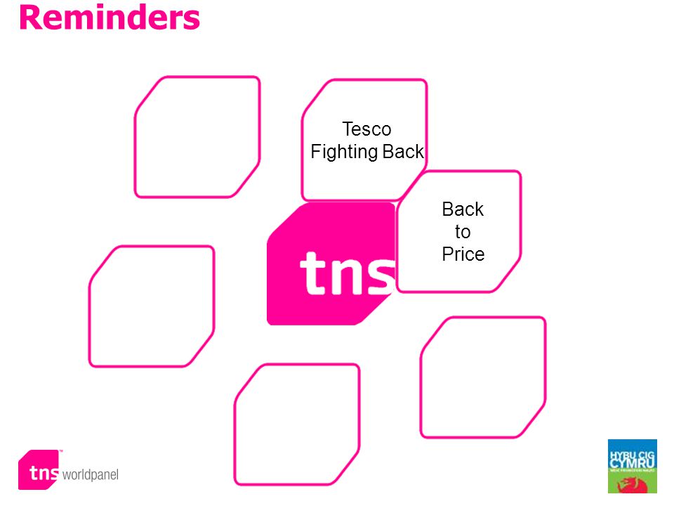 © Worldpanel TM division of TNS 2009 Back to Price Reminders Tesco Fighting Back