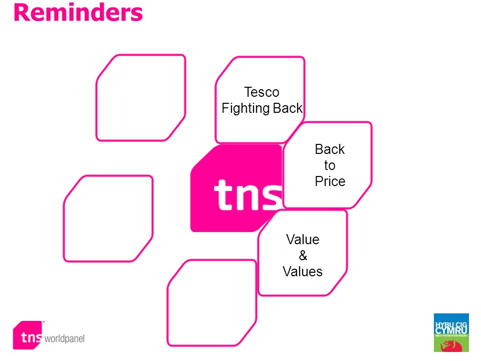 © Worldpanel TM division of TNS 2009 Tesco Fighting Back Value & Values Reminders Back to Price