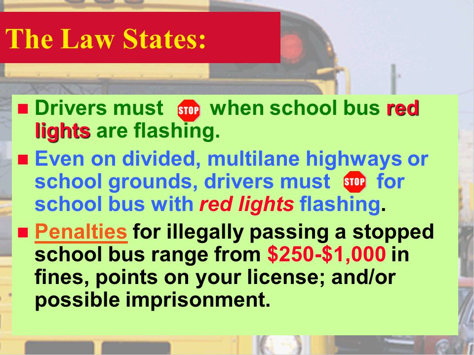 The Law States: red lights n Drivers must when school bus red lights are flashing.