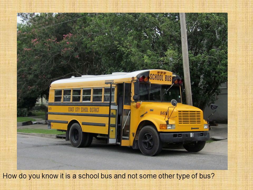 How do you know it is a school bus and not some other type of bus