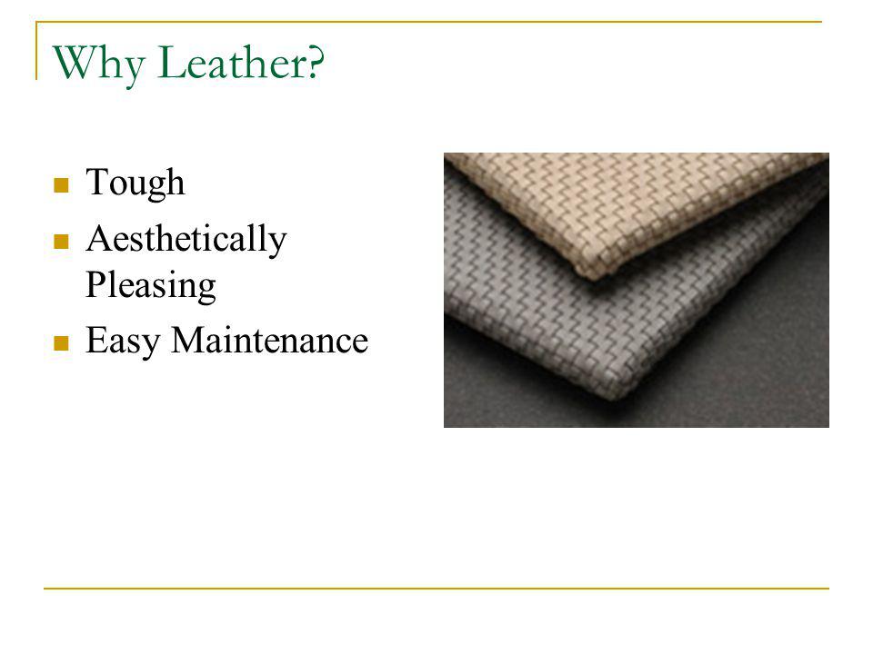 Why Leather Tough Aesthetically Pleasing Easy Maintenance