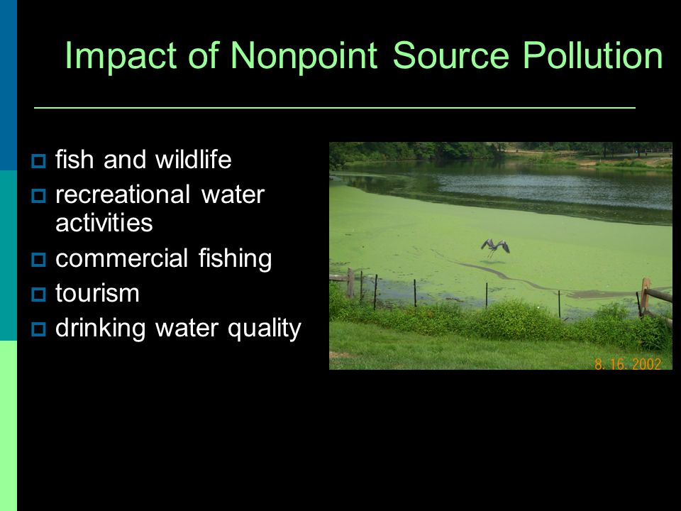 Impact of Nonpoint Source Pollution fish and wildlife recreational water activities commercial fishing tourism drinking water quality