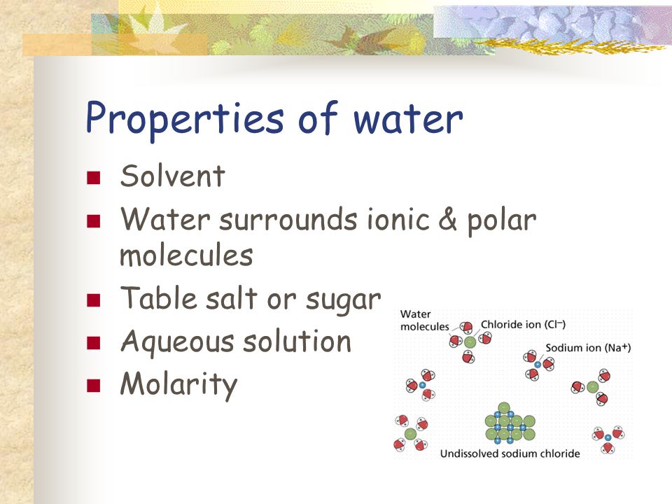 Properties of water Solvent Water surrounds ionic & polar molecules Table salt or sugar Aqueous solution Molarity