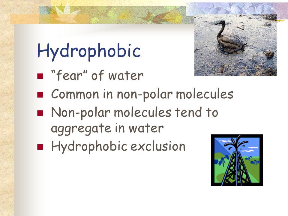 Hydrophobic fear of water Common in non-polar molecules Non-polar molecules tend to aggregate in water Hydrophobic exclusion