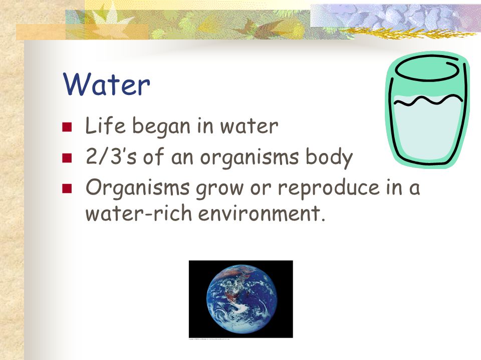 Water Life began in water 2/3s of an organisms body Organisms grow or reproduce in a water-rich environment.
