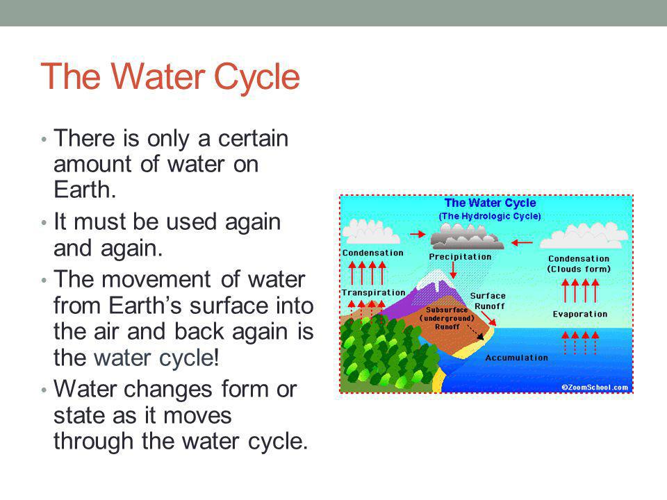 The Water Cycle There is only a certain amount of water on Earth.
