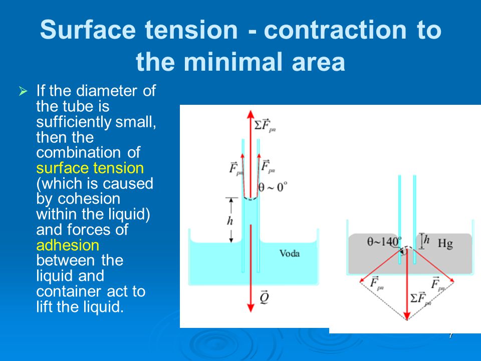 surface tension surface tension