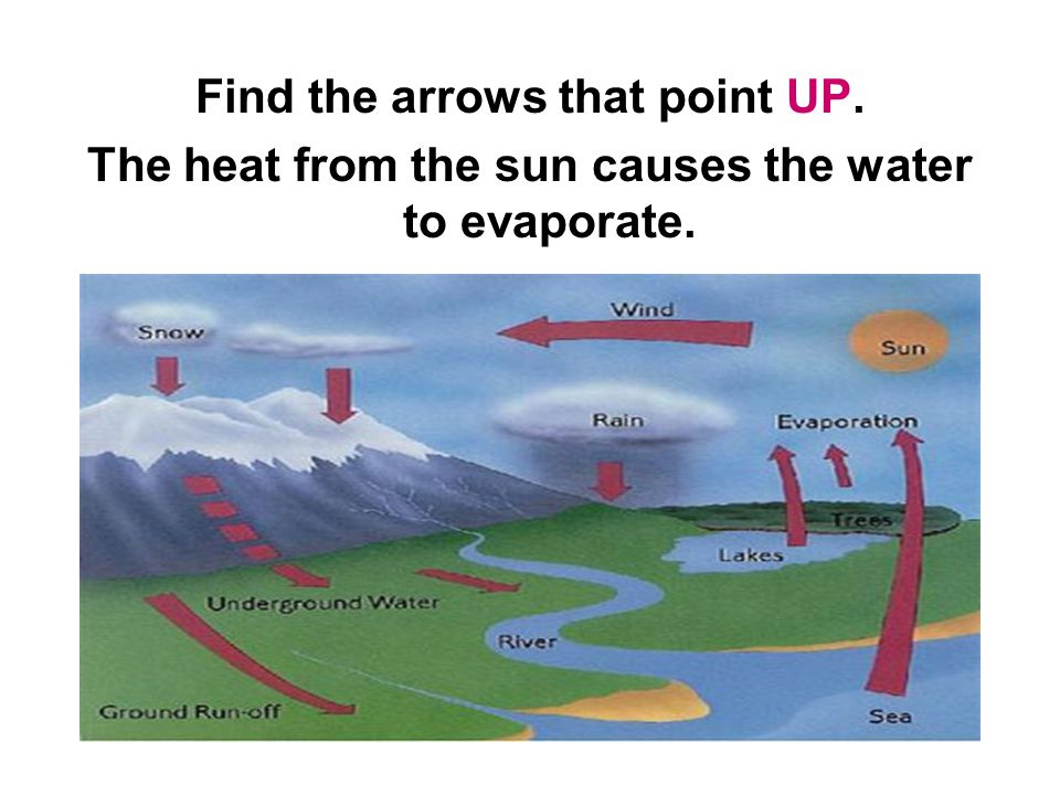 Find the arrows that point UP. The heat from the sun causes the water to evaporate.