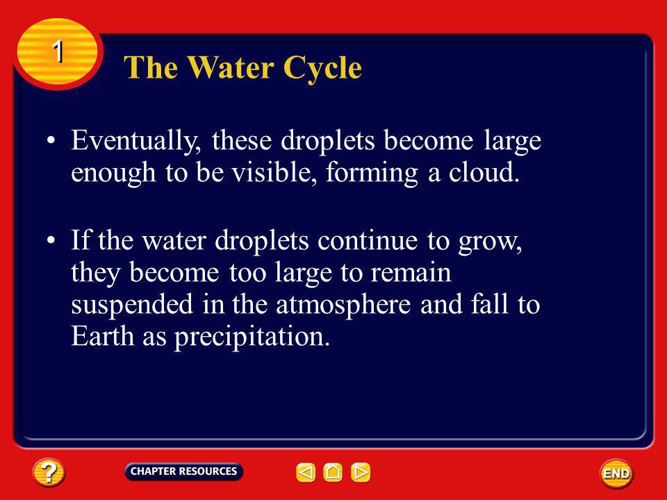 The Water Cycle 1 1 Eventually, the water molecules change back into droplets of liquid water.