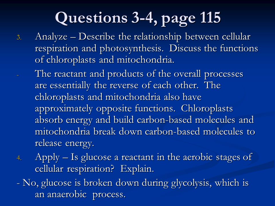 essay questions for cellular respiration essay questions for cellular respiration