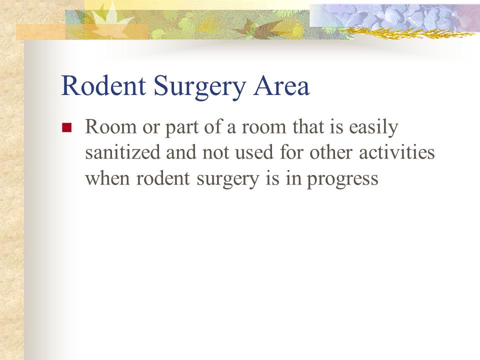 Rodents: Surgical facility not required