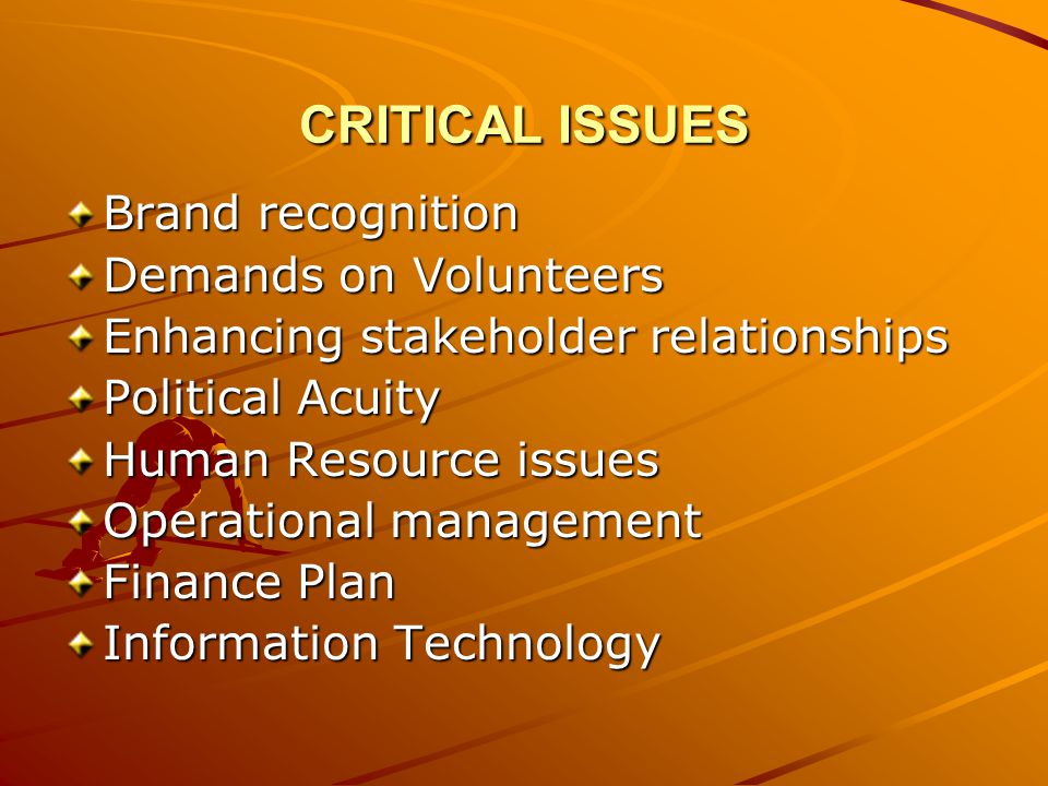 CRITICAL ISSUES Brand recognition Demands on Volunteers Enhancing stakeholder relationships Political Acuity Human Resource issues Operational management Finance Plan Information Technology