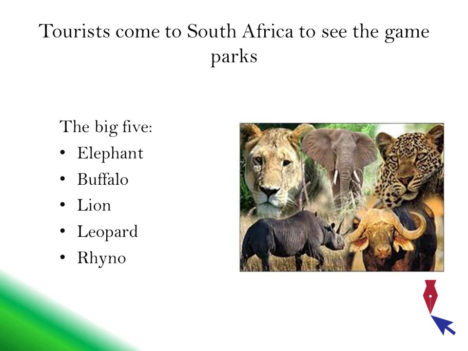 Tourists come to South Africa to see the game parks The big five: Elephant Buffalo Lion Leopard Rhyno