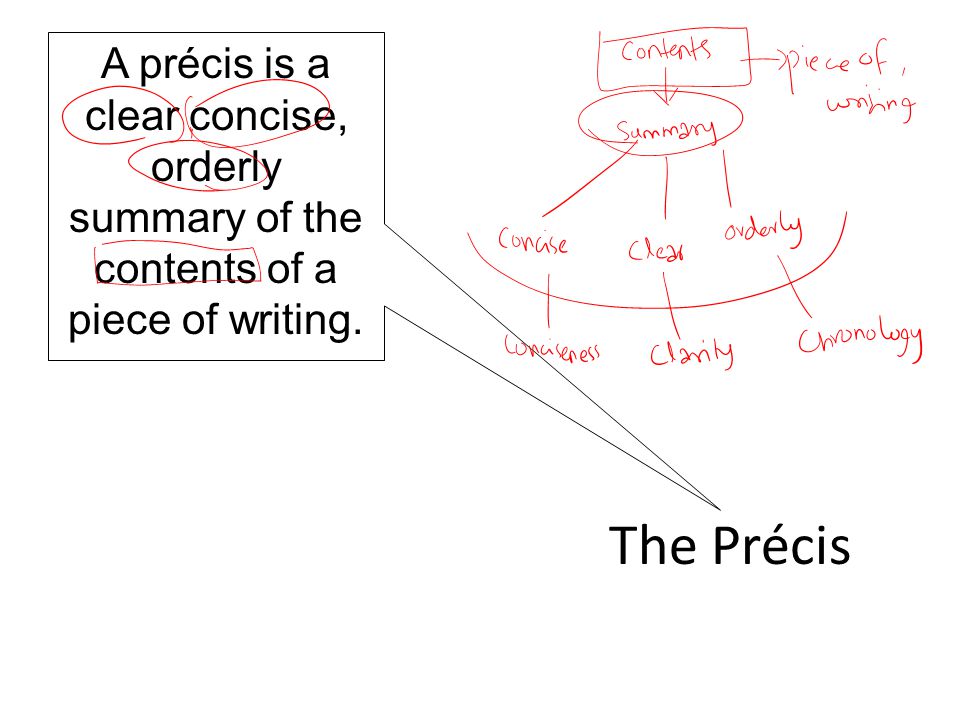 Definition Essay Structure
